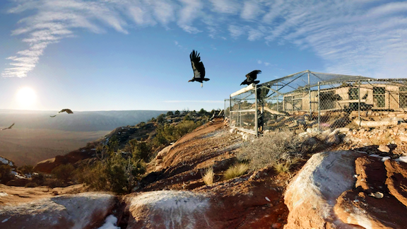 60f658ccc3e7c3808001b3af_604f9ec3240cf799a17a34a3_SXSW-19-Activation-Screenshot